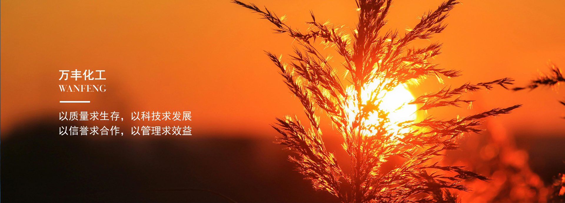 Zhejiang Wanfeng Chemical Co., Ltd. 